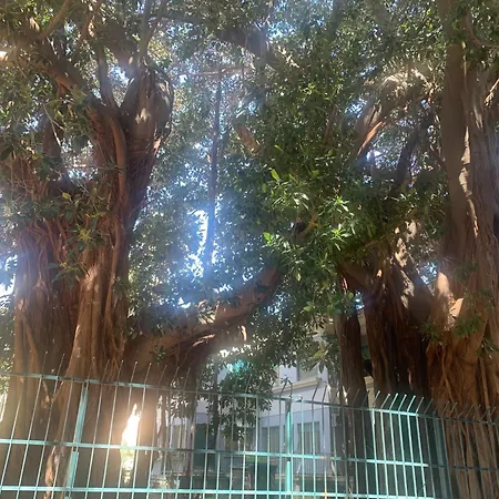 Casa Raccuglia *