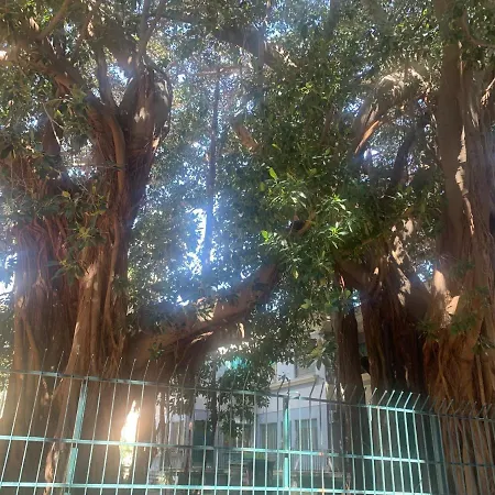 Casa Raccuglia Lägenhet *